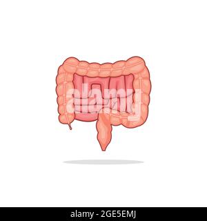 intestines vector stock illustration isolated on white background Stock Vector