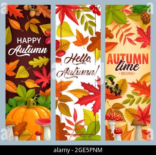 Hello Autumn vector banners with falling leaves, pumpkin and fall foliage. Mushrooms, pine cones, maple, oak or poplar and birch tree with chestnut le Stock Vector