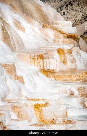Sinter terraces with calcareous tuff deposits, hot springs, colorful mineral deposits, Palette Springs, Lower Terraces, Mammoth Hot Springs Stock Photo