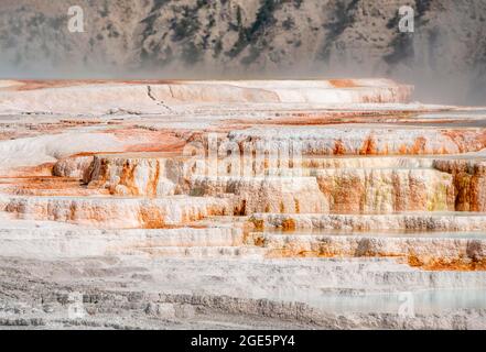 Sinter terraces with calcareous tuff deposits, hot springs, colorful mineral deposits, Palette Springs, Lower Terraces, Mammoth Hot Springs Stock Photo