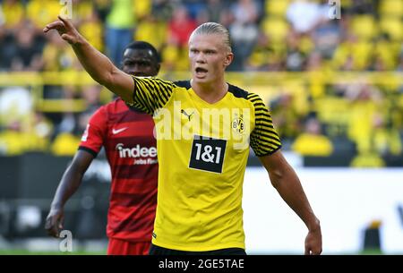 1. Bundesliga [Bundesliga] - Borussia Dortmund - Eintracht Frankfurt am ...