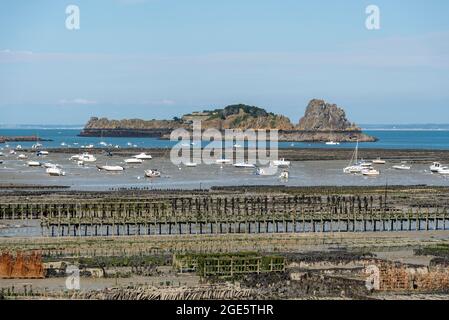 Oyster production in the mudflats, Cancale, Ille-et-Vilaine department, Brittany, France Stock Photo