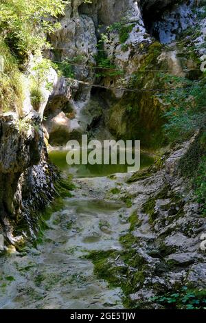 Gorge with suspension bridge in Buzetski kanjon, climbing area, Istria, Croatia Stock Photo