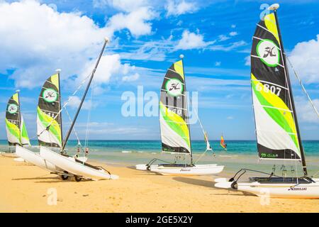 Hobbie cats on beach on Fuerteventura, Canary Islands, Spain Stock Photo