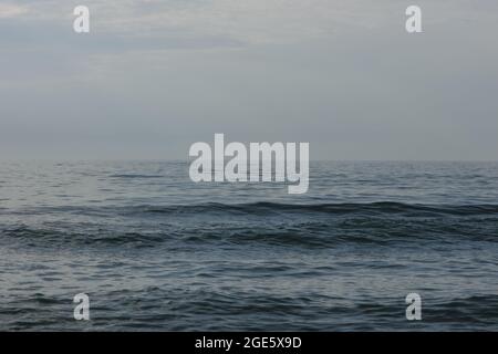 Calm, cold and bluish grey Baltic sea. Stock Photo