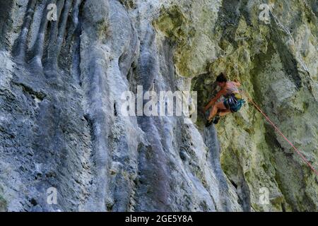 Climbing on a rock wall, climber in wall, sport climbing, Buzetski kanjon, climbing area, Istria, Croatia Stock Photo