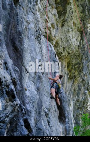 Climbing on a rock wall, climber in wall, sport climbing, Buzetski kanjon, climbing area, Istria, Croatia Stock Photo