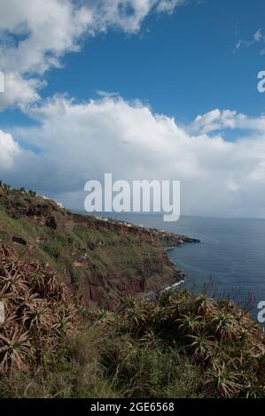 South Coast, Madeira, Portugal, Europe Stock Photo