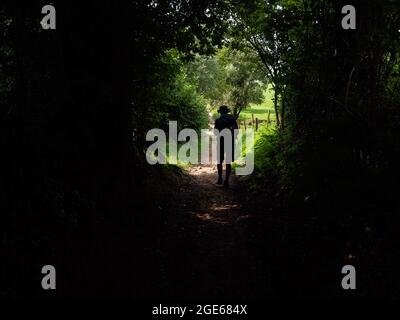 A man is seen walking through a natural tunnel. In 2020, on the occasion of the tenth edition of the Dutch Mountain Film Festival and in full tradition of the Jubiläumswege in the Alps, a new walking route was set up, the Dutch Mountain Trail. This route is a rugged hike of over 100 km that connects the seven steepest mountain peaks in South Limburg. Starting at the Wilhelminaberg in Landgraaf and ending at the Observant in Maastricht, the route is not the longest, but it has become the toughest walk in the country, crossing at some points the German and Belgium borders. Stock Photo