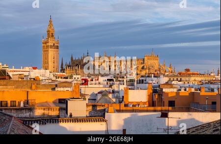 Rooftop view of the Seville Cathedral and buildings in the late afternoon Stock Photo