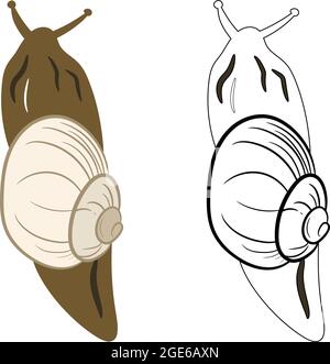 Snail Insect 2d Illustration Clipart. Shelled gastropod 2d Vector. Stock Vector