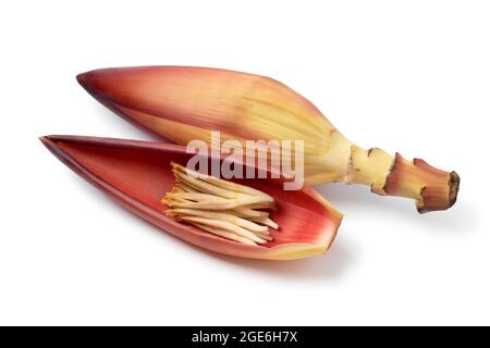 Little bananas in a fresh raw tropical banana flower leaf close up isolated on white background Stock Photo