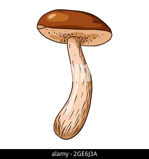 Edible Mushroom Illustration. Line art boletus icon for logo, emblem, prints, stickers, coloring worksheets, menu design and decoration Stock Vector