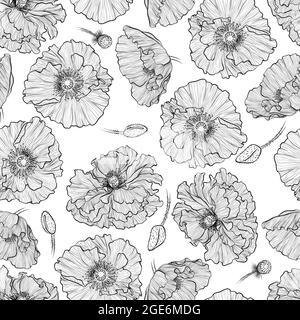 Pattern with poppies Stock Vector