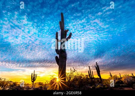 Sonoran Desert Sunset Arizona Stock Photo