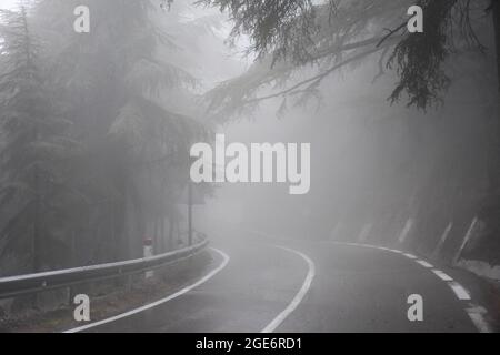 Rainy forest road in Chrea National Park, Blida, Algeria. Stock Photo