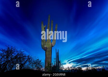 Sonoran Desert Sunset Arizona Stock Photo