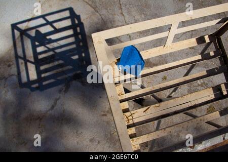 A blue colored face mask, incorrectly discarded in a trash can. Stock Photo