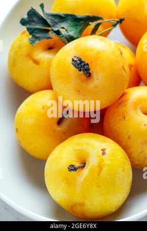 Fresh Bright Yellow Plums in a Group – FOODPIX WHITE Stock Photo