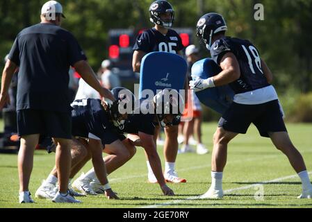 Chicago Bears tight end James O'Shaughnessy (80) during an NFL Preseason  football game against the