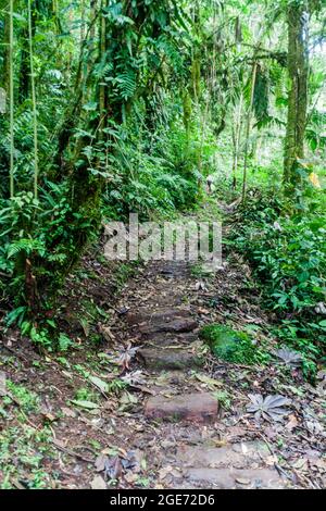Lost Waterfalls hiking trail near Boquete, Panama Stock Photo - Alamy