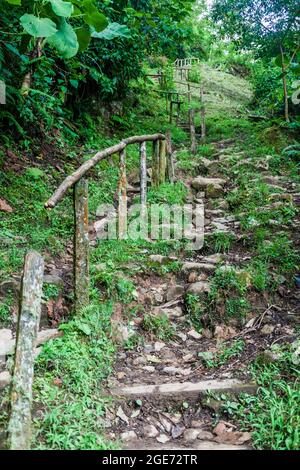 Lost Waterfalls hiking trail near Boquete, Panama Stock Photo - Alamy
