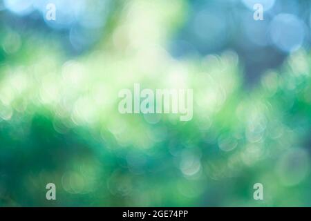Abstract green background, bright summer background of greenery and nature. Stock Photo