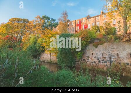 Golden hour light on ivy covered tenement apartment buildings with autumn colours along the Water of Leith in Stockbridge, Edinburgh, Scotland, Uk. Stock Photo