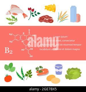 Vector illustration Vitamin B2 sources. Healthy food containing riboflavin enriched with vitamins. Proper natural nutrition, dietetic organic products Stock Vector