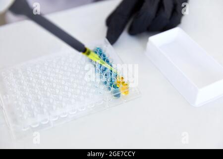Lab Worker Adding Liquid to Test Tubes Stock Photo