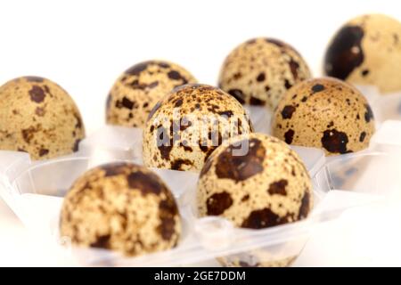 small speckled quail eggs isolated on white background Stock Photo