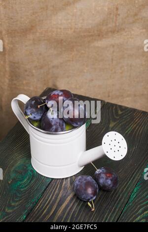 Large plums in a metal watering can.  On pine boards.  On a linen background.  Harvest plums. Stock Photo