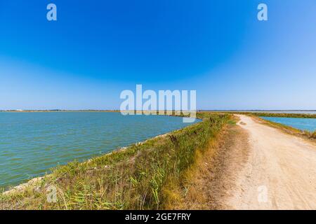 Italy Emilia Romagna - Valli di Comacchio  - Dintorni di Foce Stock Photo