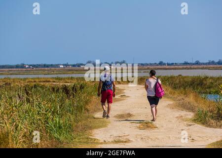 Italy Emilia Romagna - Valli di Comacchio  - Dintorni di Foce Stock Photo