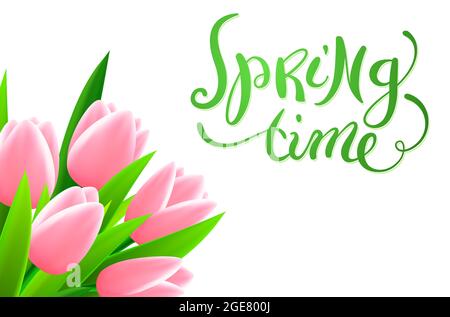 Hand made calligraphy Spring time with tulip flowers, vector illustration Stock Vector