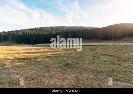 Mountain landscape with a meadow at the foot of forested hills at sunset in autumn. Tranquil scene. Stock Photo