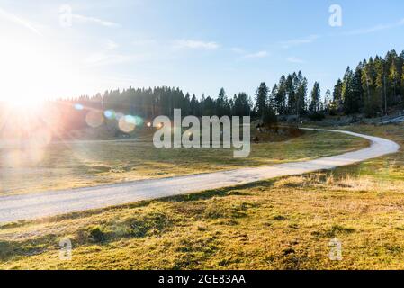 Deserted gravel road through a medow in the mountains at sunset. Lens flare. Stock Photo