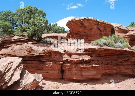 Landscape with rock formations at Colorado National Monument Stock Photo