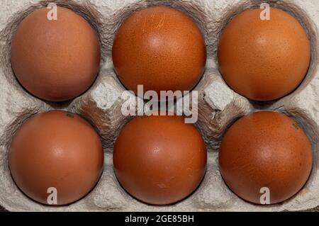 6 Class A Free Range Maran eggs Stock Photo