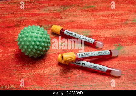 vacuum tube for blood collection, labeled Covid-19 - Variant Delta in a red back ground Stock Photo