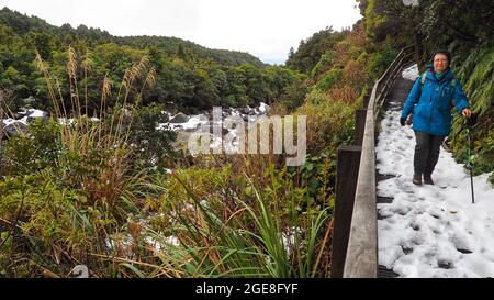 A middle aged woman (62) on the Wilkies Pools walk in winter. Egmont National Park, NZ. Stock Photo