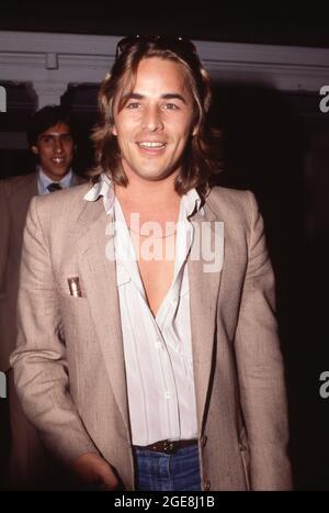 Don Johnson 1979 Credit: Ralph Dominguez/MediaPunch Stock Photo - Alamy