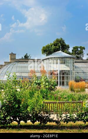 FRANCE, YVELINES (78) CONFLANS-SAINTE-HONORINE, PARK OF PRIORY, GARDEN AND GREENHOUSE Stock Photo