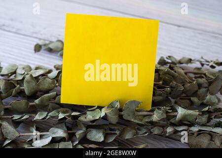 Blank Piece Of Sticky Note Placed On Top Of A Table Beside A Plant. Empty Sheet Of Paper With Herbs Above Old Wooden Desk. Stock Photo