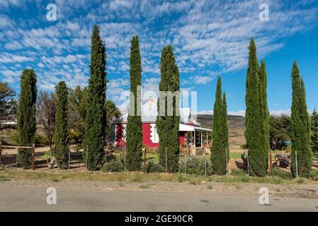 KLAARSTROOM, SOUTH AFRICA - APRIL 5, 2021: A street scene, with a house and conifers, in Klaarstroom in the Western Cape Karoo Stock Photo