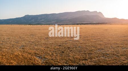 Grasslands of Dasht Arjan. wide panorama with autumn grass field and mountains in background at evening time, Typical autumnal scenery of Fars Provinc Stock Photo