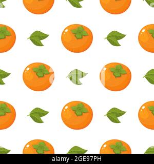 Seamless pattern with fresh bright persimmon fruit and leaves isolated on white background. Summer fruits for healthy lifestyle. Organic fruit. Cartoo Stock Vector