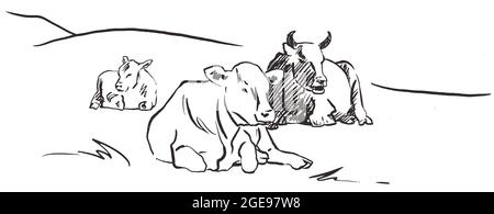 Cows lying down on meadow Hand drawn sketch style black and white graphic vector illustration Stock Vector