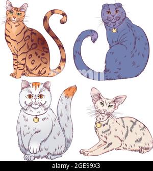 Set of cats different breeds Stock Vector