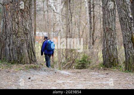 Mixed forest in autumn. Among trees there is a lonely male teenager hiking with a backpack. There is a lot of copy space. Stock Photo